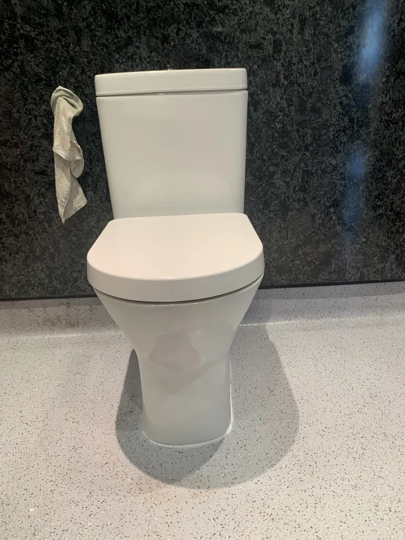 New toilet fitted in an Edinburgh bathroom